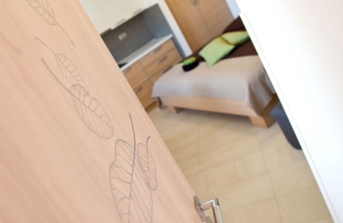 Divaca Apartment | Zenja Apartment 2