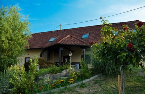 Catez ob Savi Apartment | Zevnik Quiet Retreat with Stunning Views and Equestrian Activities - Standard One Bedroom Apartment