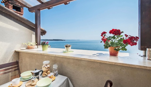 1 bedroom gorgeous apartment in Novigrad