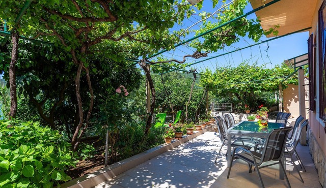 3 bedroom amazing home in Trget