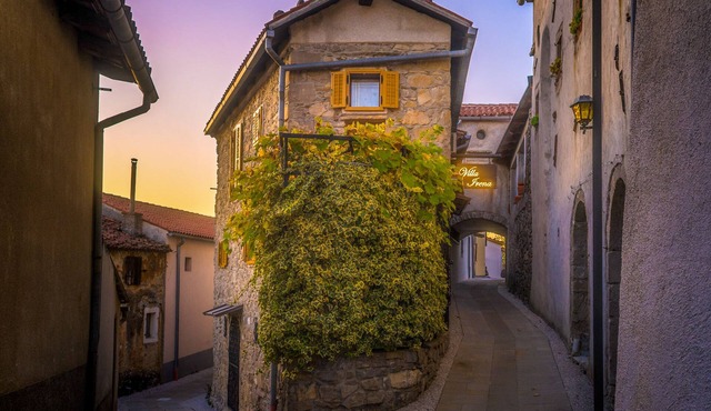 500yo Historic House with Unique Panoramic Terrace - Heart of Vipava Wine Valley in Ajdovšcina