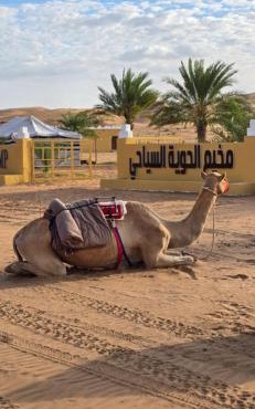 AL hawiyah camp in Bidiyah