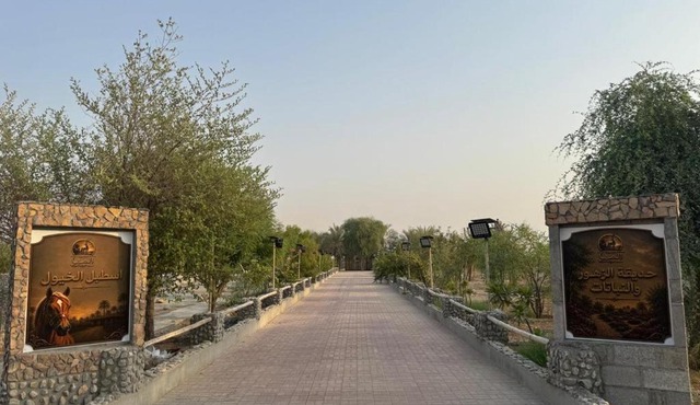 Al maha reserve in Ras al Khaimah