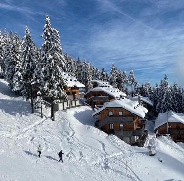 Alpine Escape Golte Apartment in Mozirje