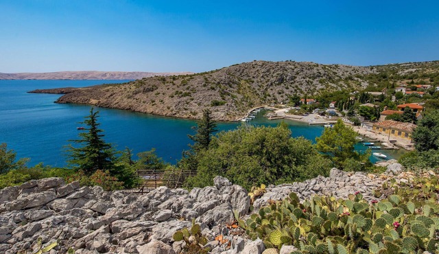 Amazing home in Cesarica with WiFi