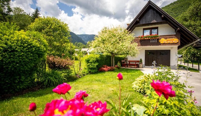 Apartma Boltar in Bohinj