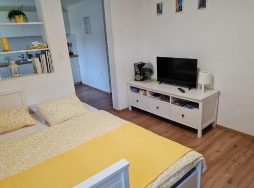 Apartma Liza in Tržič