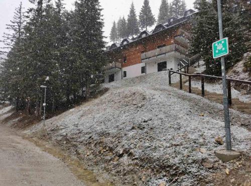 Apartma Med smrekami Golte in Mozirje