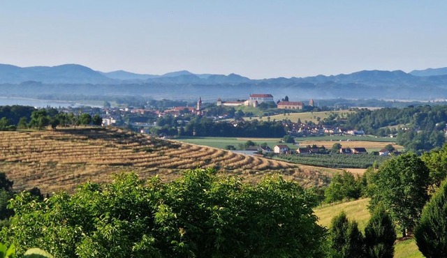 Apartma pri Boru in Ptuj