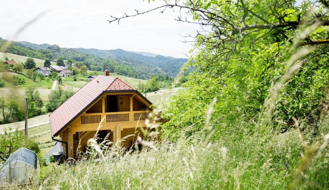 Apartma Smithy (Kovačnica) in Lasko