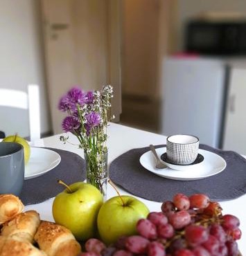 apartma Vila TARA in Prebold