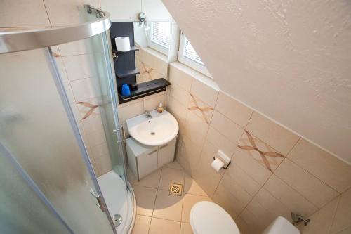 Apartmaji Daša & Anže in Bohinj