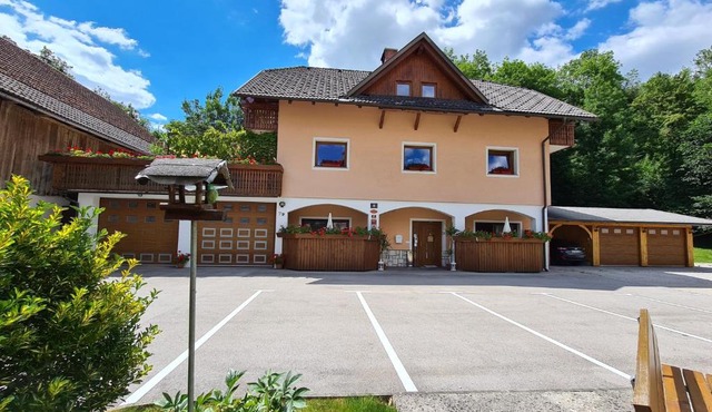 Apartmaji Mežan in Bled