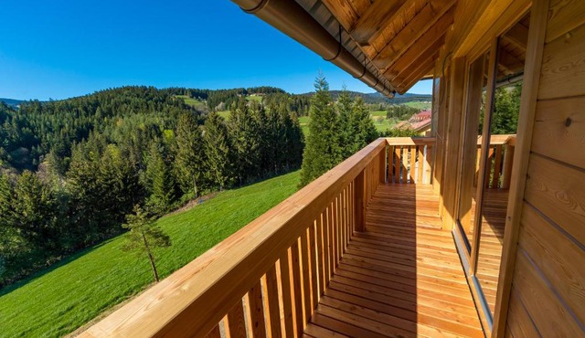 Apartmaji na kozolcu - Smogavc in Zrece
