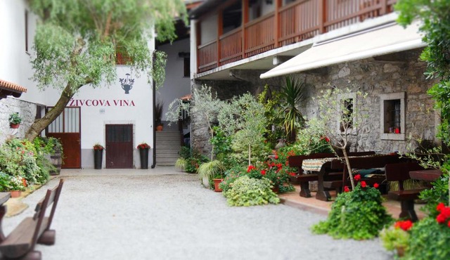 Apartmaji pri Živcovih in Dutovlje