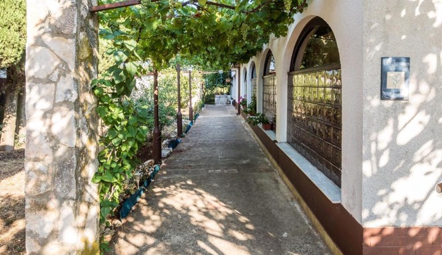 Apartman Jasmina