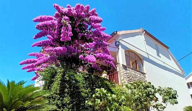 Apartman Nada in Sali