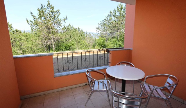Apartment Dudovic Darko nr 1 in Šilo