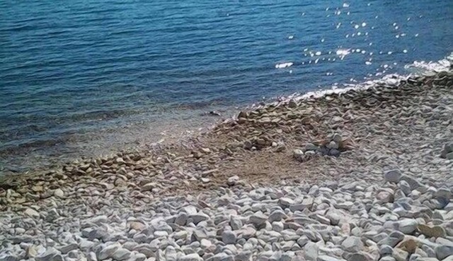 Apartment Elena, (10644), Podstražje, Croatia in Podstražje