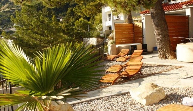 Apartment in Brela with Seaview, Terrace, Air condition, WIFI (3524-1)