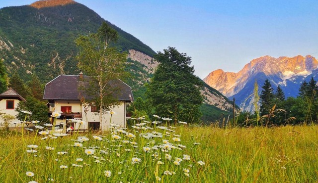 Apartment Joži in Soča