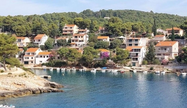 Apartment Makaj - 80 m from the beach : SA2(2+1) - Cove Basina (Jelsa), Island Hvar, Croatia