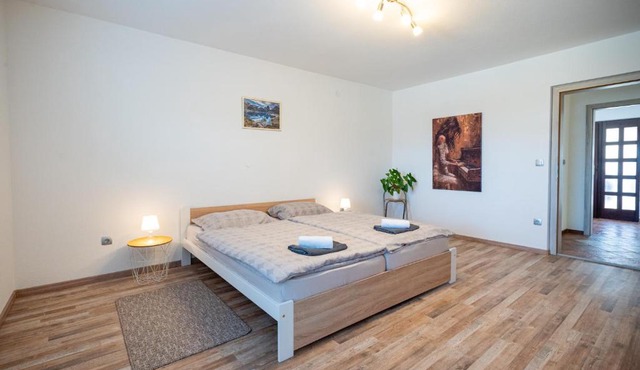 Apartment Molnar in Žirovnica