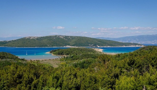 Apartment Nedo - 150 m from sandy beach: A2(2+1) - Lopar, Island Rab, Croatia