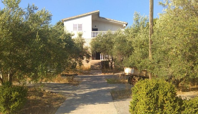 Apartment Rozi in Prvić Luka