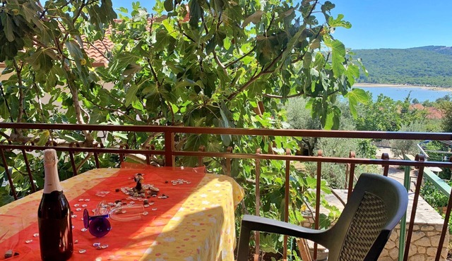 Apartment Santic - sea view, 450 m from sea, balcony, washing machine, pet-friendly in Cizici