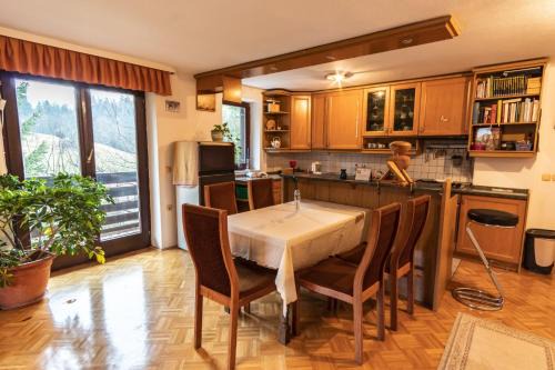 Apartment Satya in Dobrna