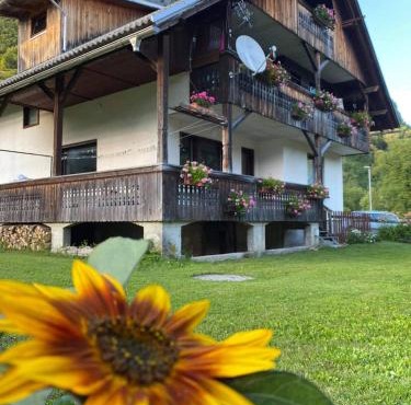 Apartment V&N, LAKE BOHINJ in Bohinj
