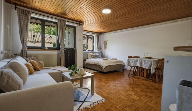 Apartment Vineyard nook Lendava in Beltinci