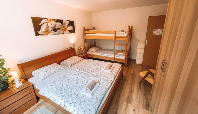 Apartment with Atrium Anabela in Tolmin in Tolmin