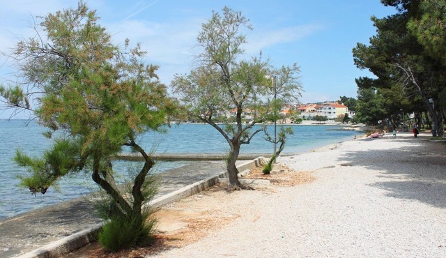 Apartments Željko, (11908), Zadar, hr