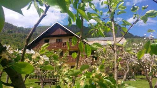 Apartments Arh in Bohinj