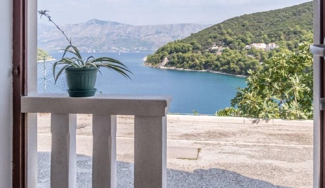 Apartments Darija - Studio Apartment with Sea View (ST) in Pucisca