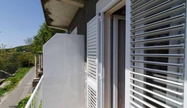 Apartments Felix Mljet - One Bedroom Apartment with Balcony (Marijana) in Babino Polje