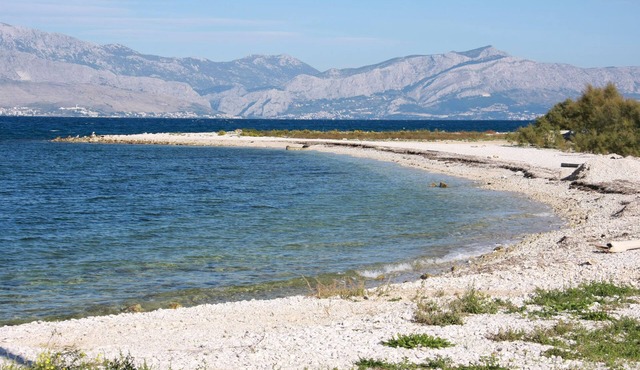 Apartments Frano (12151-A1) - Mirca - island Brac in Mirca - island Brac