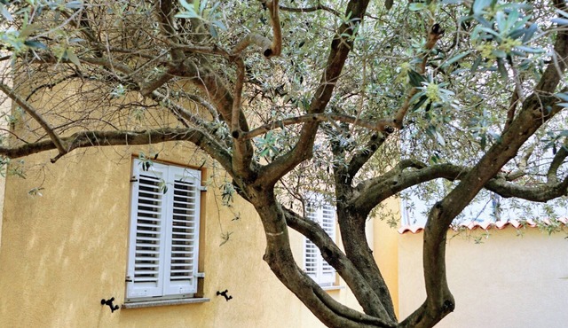 Apartments KRISTIJANA Monterosso (31959-A1) - Crveni Vrh