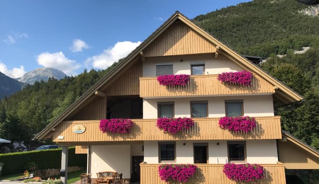 Apartments Maja by the river in Bohinj