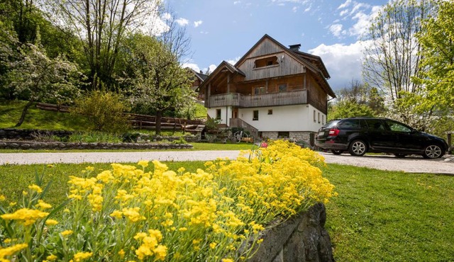 Apartments Mlin in Bohinj