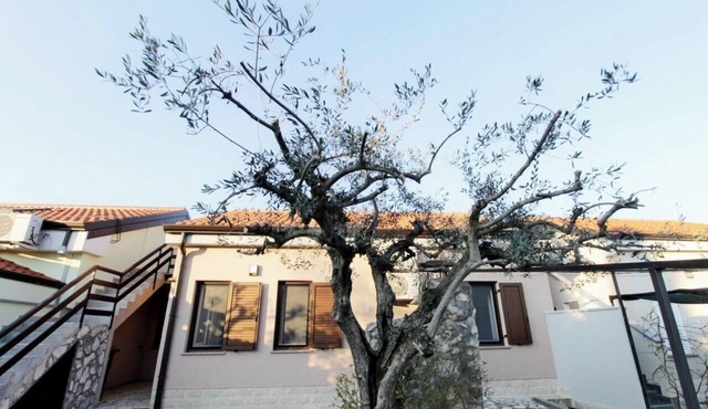 Apartments Sea view Melita Monterosso (83316-A2) - Crveni Vrh