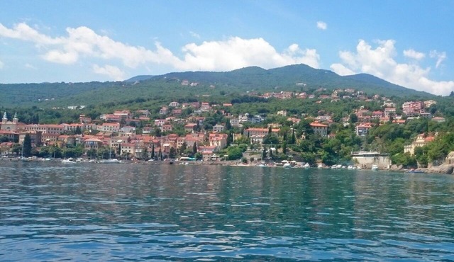 Beautiful villa for 8 guests with A/C, WIFI, TV, terrace and pets allowed in Rijeka
