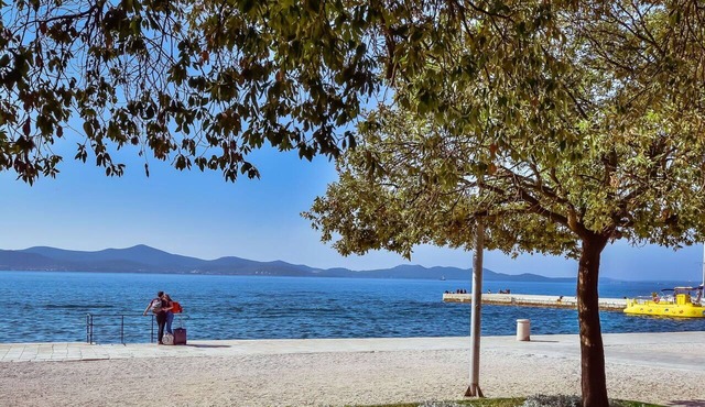 Beautiful villa for 8 people with WIFI, A/C, private pool, TV, terrace and pets allowed in Zadar