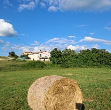 BEllA in Sinj