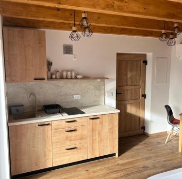 Borl Apartment in Gorisnica