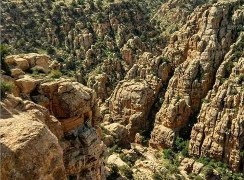 Camping Guide in Dana