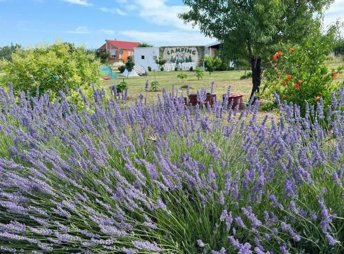 CAMPING LASTE in Smoković