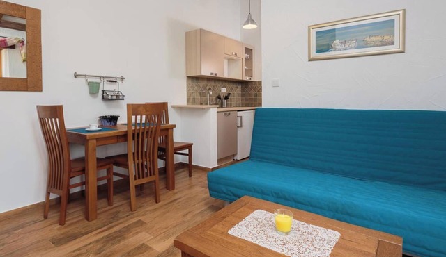 Charming Apartment with Pool Surrounded by Olive Groves in Primošten Burnji